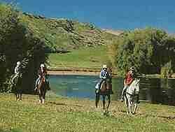 Horse Treking